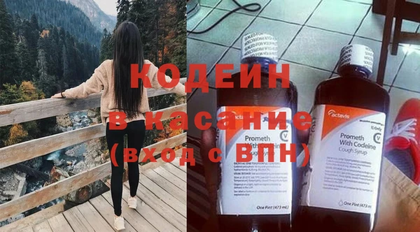 прущие грибы Рославль