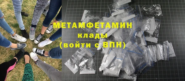 прущие грибы Рославль