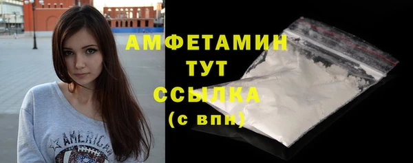 прущие грибы Рославль