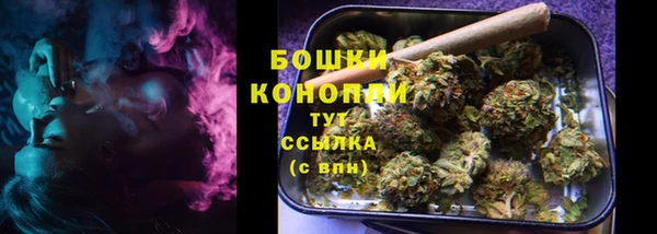 прущие грибы Рославль