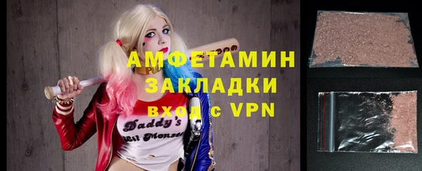 прущие грибы Рославль