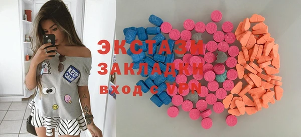 прущие грибы Рославль