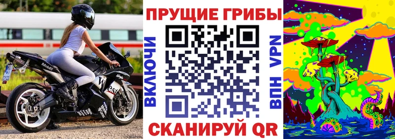 Галлюциногенные грибы мухоморы  купить  сайты  Пудож 